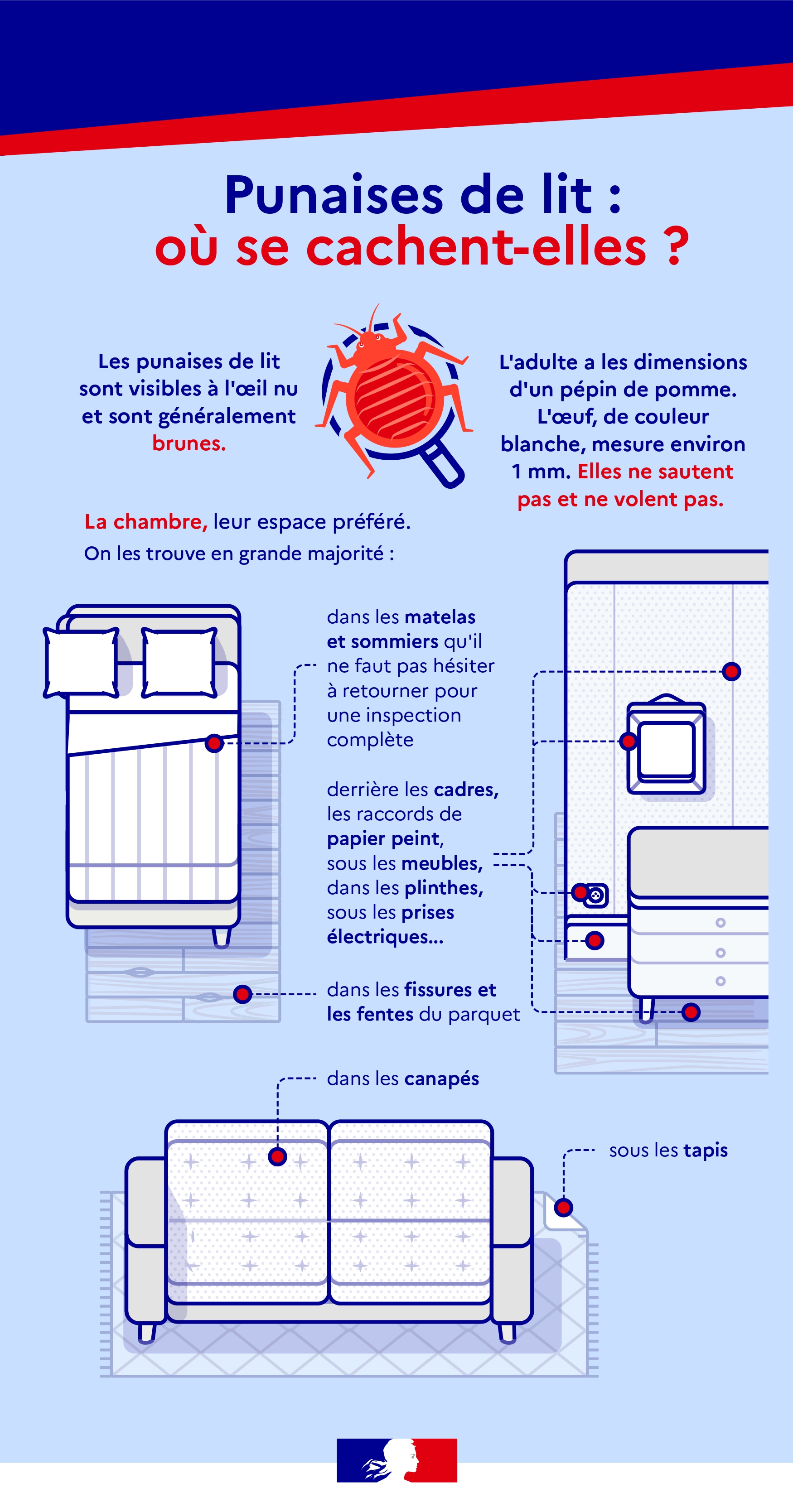 Information sur les cahettes des punaises de lit